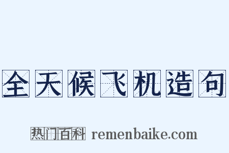 全天候飞机造句是什么意思的图片